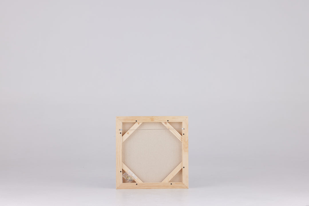 PRE - FRAMED CANVAS
