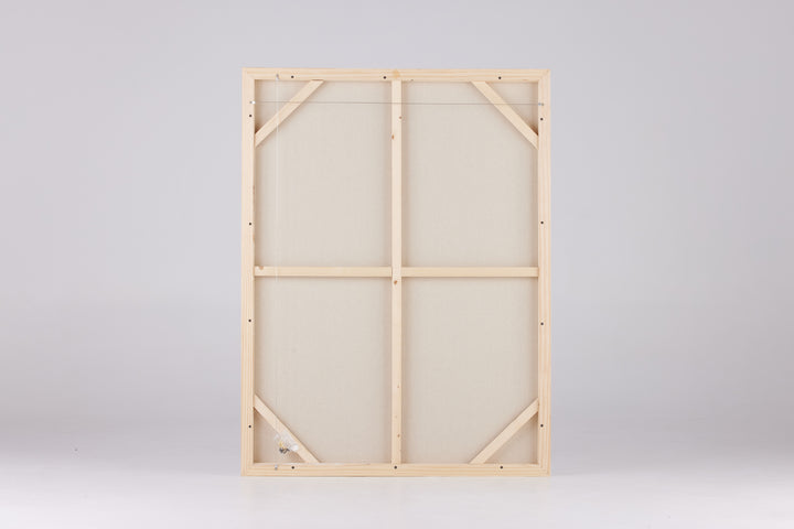 PRE - FRAMED CANVAS